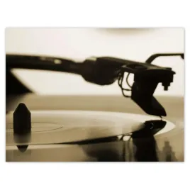 plakaty-40x30-plyta-winylowa