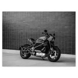 plakaty-40x30-harley-davidson-motocykl