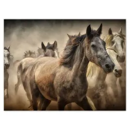 plakaty-40x30-dzikie-konie-koniki-galop