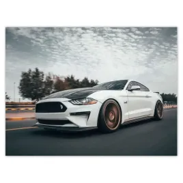 plakaty-40x30-bialy-ford-mustang-auto