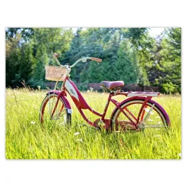plakaty-40x30-rowery-rowerki-dwa-kolka