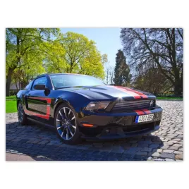 plakaty-40x30-ford-mustang-z-paskami