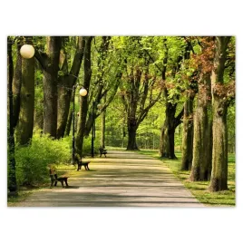 plakaty-40x30-park-cytadela