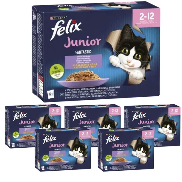 Karma dla kota Felix Fantastic Junior mix smaków (12 x 85 g) x 6 opakowań