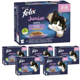karma-dla-kota-felix-fantastic-junior-mix-smakow-12-x-85-g-x-6-opakowan