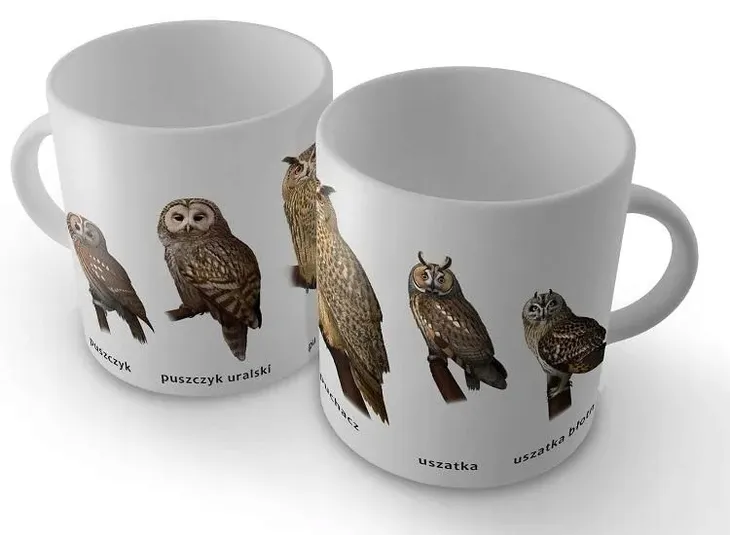 kubek-sowy-soliton