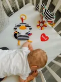 kot-pasiak-plec-chlopcy-dziewczynki