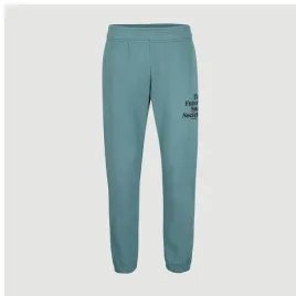 meskie-spodnie-future-surf-jogger-xxl