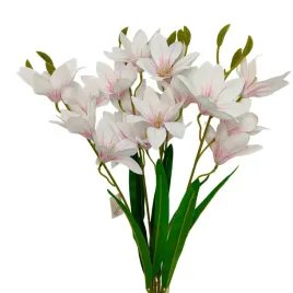 bukiet-dalia-gumowany-bialy-rozowy-prazek