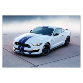 naklejki-60x40-ford-mustang-shelby