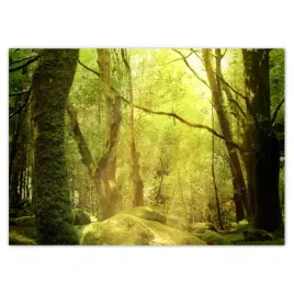 naklejki-70x50-magiczny-las-krajobraz