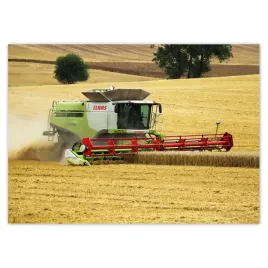 naklejki-70x50-kombajn-claas-kosi-zniwa