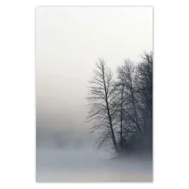 naklejki-40x60-mglisty-las-zima