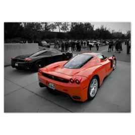 naklejki-70x50-ferrari-od-tylu