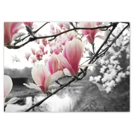 naklejki-70x50-magnolia-kwiatki-kwiaty