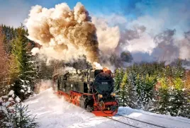 puzzle-1000-ukladanka-pociag-parowoz-lokomotywa-zima-las-snieg-9-castor