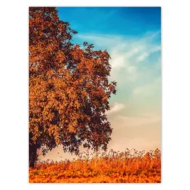 plakaty-30x40-jesienne-barwy-pejzaz