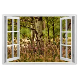 plakaty-120x80-brzoza-wsrod-wrzosow-las