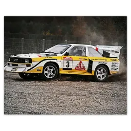 naklejki-50x40-audi-quattro-drift-bokiem