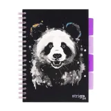 kolozeszyt-pads-b5-100k-linia-panda