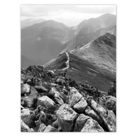 naklejki-30x40-tatry-polskie-gory-widok