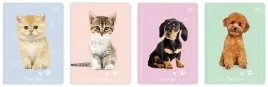 zeszyt-a5-16k-kolorowa-trzylinia-puppy-sign-20szt