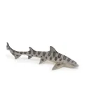 rekin-leopardzi-plec-unisex