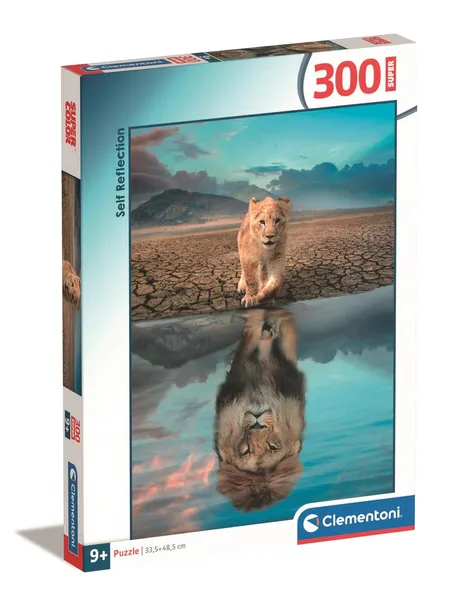 puzzle-300-super-self-reflection-21719