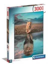 puzzle-300-super-self-reflection-21719