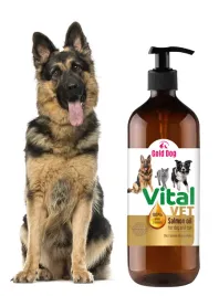 olej-z-lososia-dla-psa-1l-vital-vet-100percent-losos
