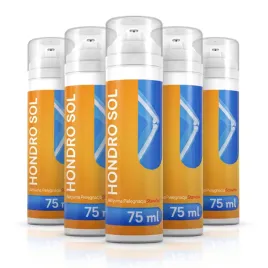 5x-hondro-sol-5x75-ml