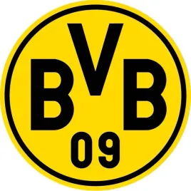 herb-borussia-dortmund-bvb-3d-premium-obraz-drewniany-na-sciane-hdf-3mm