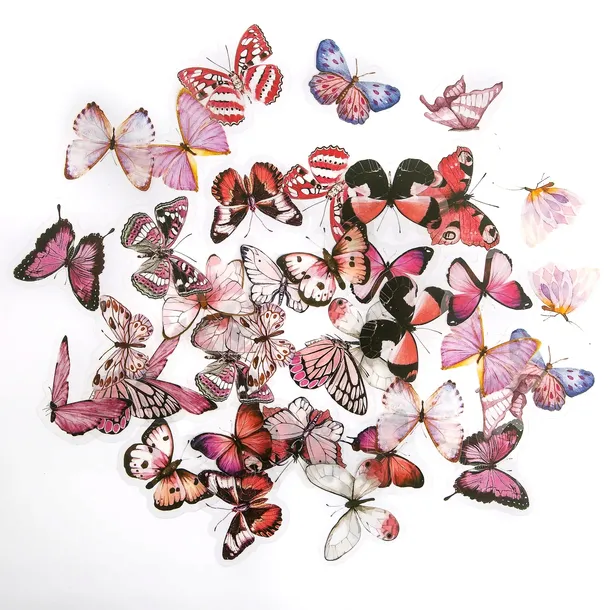 NAKLEJKI PET MOTYLE 40SZT WIELOKOLOROWE DpCraft scrapbooking motylki DIY