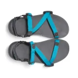 z-trail-ev-marka-xero-shoes