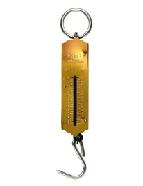 solidna-waga-hakowa-wedkarska-do-100kg-precyzyjna-metalowa-553326