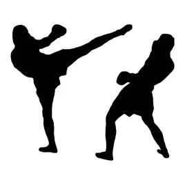 naklejka-boks-taekwondo-sport-10-cm-wytrzymala-folia-samochodowa