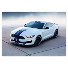 fototapety-368x254-ford-mustang-shelby