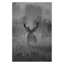fototapety-169x254-jelen-we-mgle