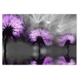 fototapety-152x104-odbicie-w-wodzie-latawce