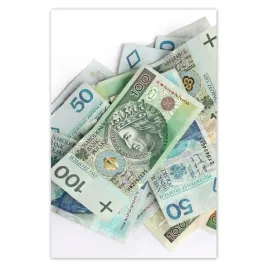 fototapety-169x254-kasa-pieniadze-forsa