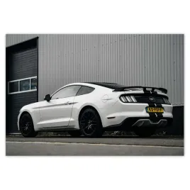 fototapety-152x104-ford-mustang-z-pasami