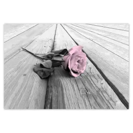 fototapety-152x104-pudrowy-roz-old-pink-rose
