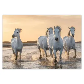 fototapety-152x104-dzikie-konie-wild-horses