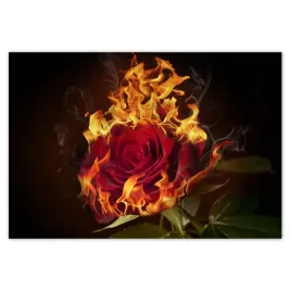 fototapety-152x104-czerwona-plonaca-roza
