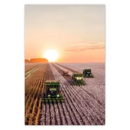 fototapety-169x254-zniwa-rolnictwo-kombajny
