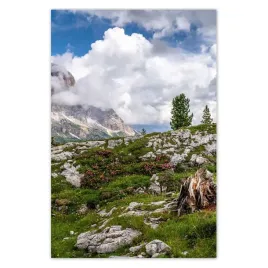 fototapety-169x254-owieczka-w-gorach-widok