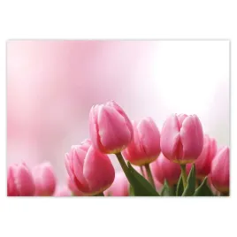 fototapety-312x219-rozowe-tulipany