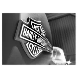 fototapety-312x219-logo-harley-davidson