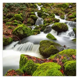 fototapety-312x312-gorski-pejzaz-z-rwacym-potoczkiem-potok-w-gorach
