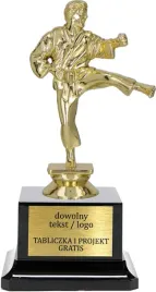 statuetka-karate-sporty-walki-18cm-grawerka